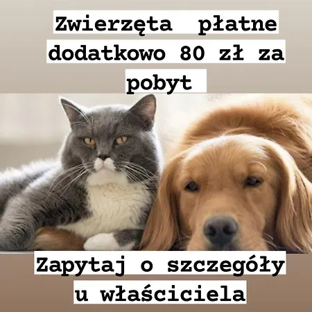 Apartment Marszalkowskastreetcityapart Netflix *