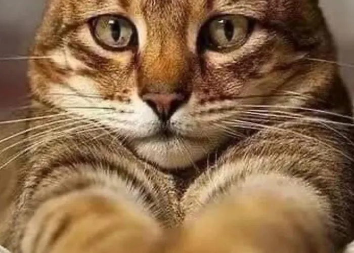 Apartament Centrum Marszalkowska Parking *