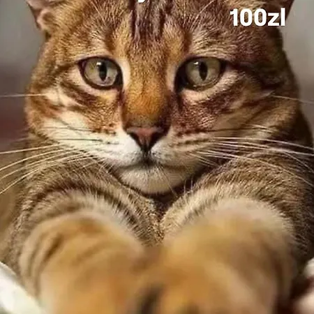 アパート Centrum Marszalkowska Parking *